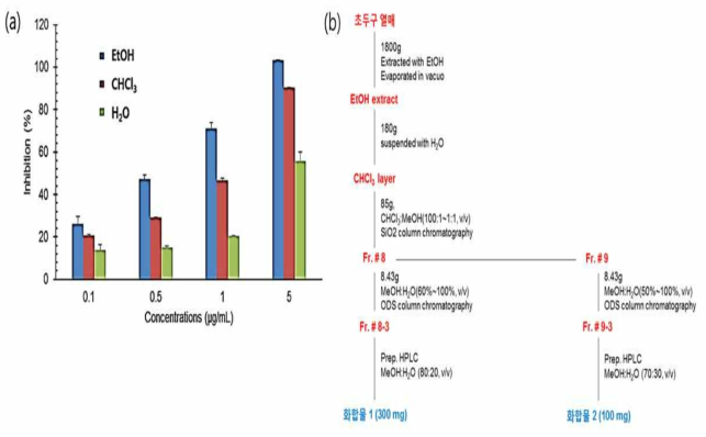초두구 추출물의 IL-6 저해활성(a) 및 화합물 1-2의 분리정제과정(b)