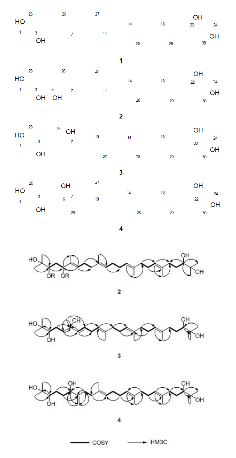 초두구로부터 분리된 화합물 1-4의 구조 및 화합물 2-4의 COSY 및 HMBC correlations