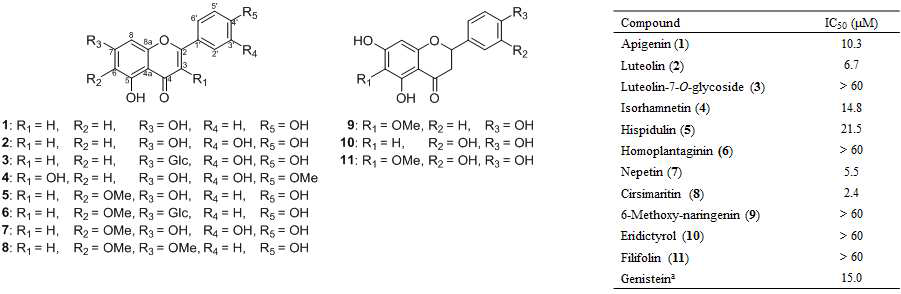 SPR로부터 분리된 화합물 1-11의 구조 및 IL-6 유도 STAT3 저해활성