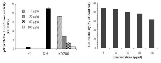 KR700 95% 에탄올 추출물의 IL-6/STAT3 저해활성 및 세포독성