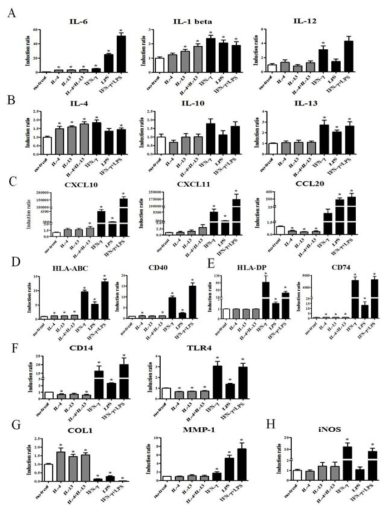 Induction of immune molecules on GFs by IL-4, and/or IL-13 and IFN- γ and/or LPS. IL-4, and/or IL-13에 의해 자극 받은 치은섬유아세포와 IFN- γ and/or LPS의 자극을 받은 세포간의 여러 인자의 발현에 있어 차이를 보여줌.