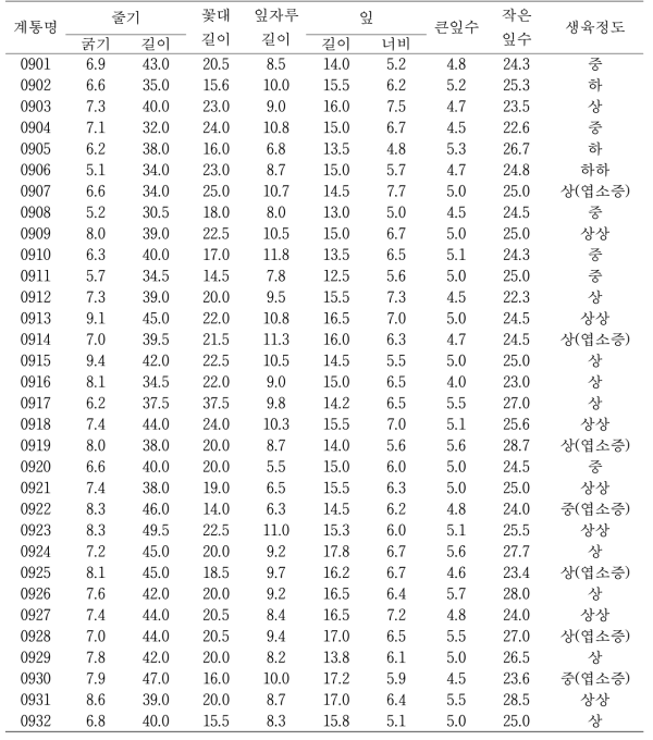 4년생 계통의 지상부 생육특성