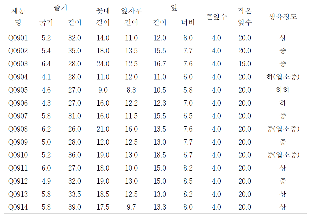 북미삼 4년생의 생육특성