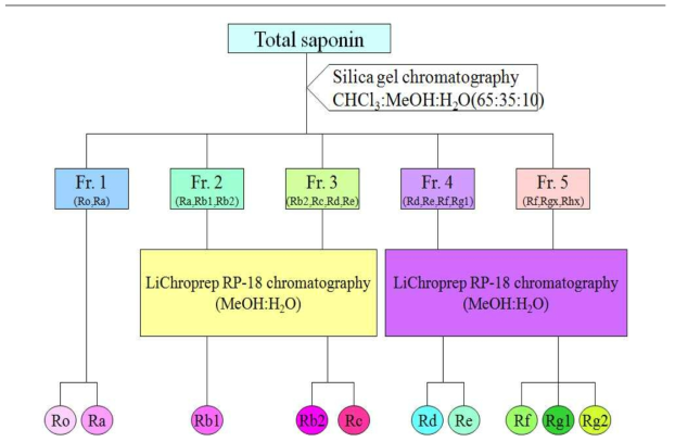 Schematic diagram on the preparation of ginsenoside fraction from crude ginsenoside by silica gel column chromatography