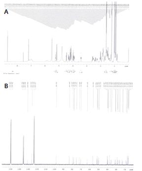 NMR stpectrum of ginsenoside C-K