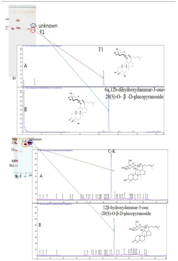 Ginsenoside CK, F1이 keton화된 CK, F1의 HPLC결과