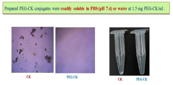 Ginsenoside CK와 PEG+CK의 PBS(pH 7.4)에서의 용해성 비교