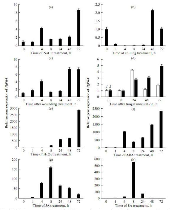 Relative quantities of PgPR4 mRNA at various time points (h) after treatment with various stresses.