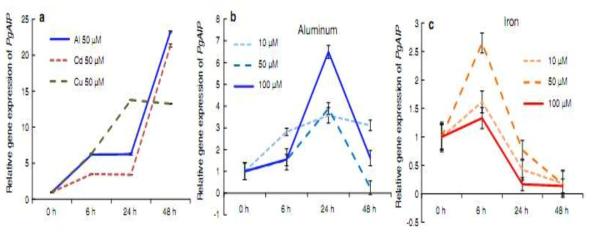 Relative quantities of PgAIP in different tissues at verious time points (h) after exposure to variuos heavy metals