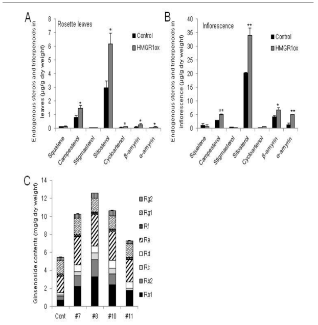 Overexpression of PgHMGR1 or the catalytic domain of PgHMGR1 results in higher production of sterol and triterpene in plants.