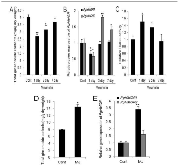 Expression of PgHMGR1 and PgHMGR2 is associated with the production of ginsenoside.