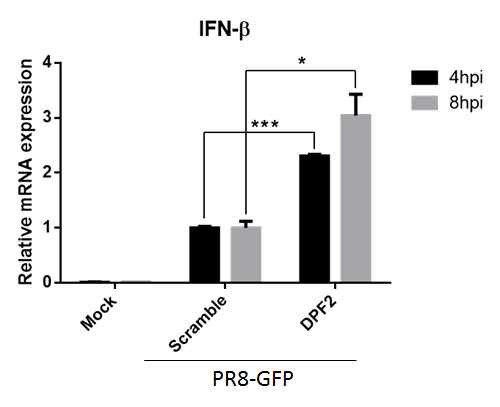 숙주인자 DPF2의 인터페론 베타 발현을 조절
