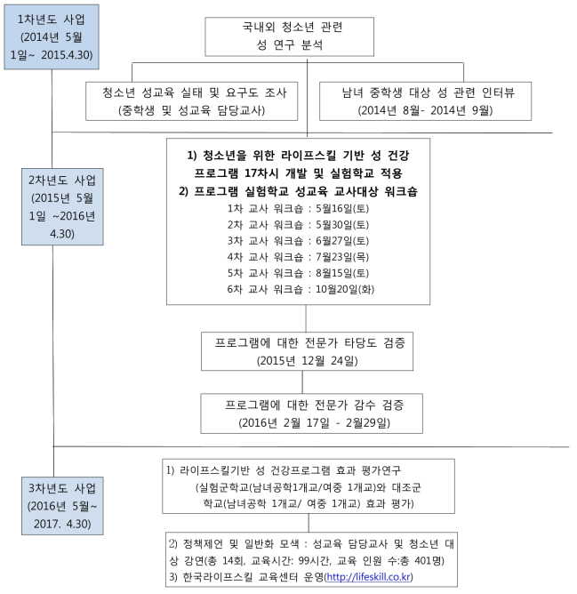 청소년을 위한 라이프스킬 기반 성 건강 프로그램 개발과정