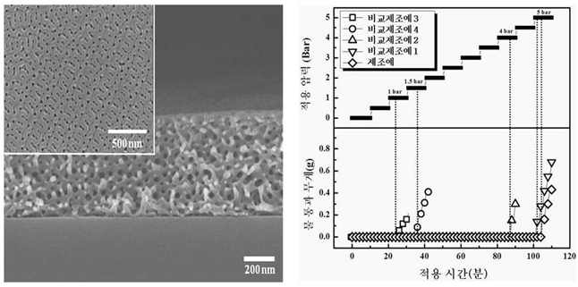 3차원 네트워크형 다공성 구조와 거대분자량 블록공중합체를 활용한 물리적 강성의 향상