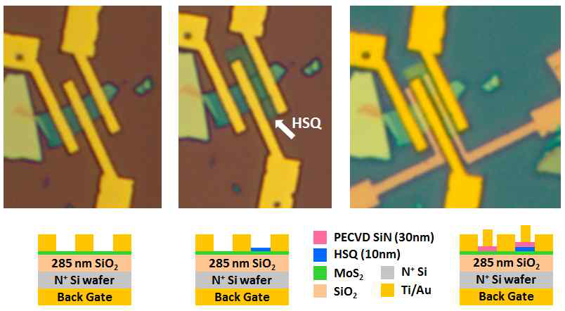 동일한 2D MoS2 채널에 HSQ 유/무에 따른 PECVD 절연체 2D 소자 특성 연구를 위한 공정도