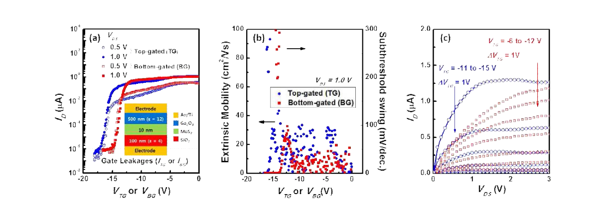 Transport properties and output characteristics of MoS2/Ga2O3 FET and, for comparison, MoS2/SiO2 FET with W/L = 5/3 μm at room temperature. (a) Drain current ID vs. top-gated voltage VTG and bottom-gated voltage VBG at VDS = 0.5 V and VDS = 1.0V. (b) Extrinsic mobility and subthreshold swing. (c) Common source transistor characteristics.