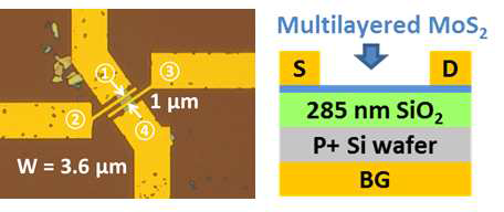 MoS2 flake 상에 4단지 전극을 연결한 소자의 현미경 이미지(왼쪽)과 소자 단면 이미지 (오른쪽)