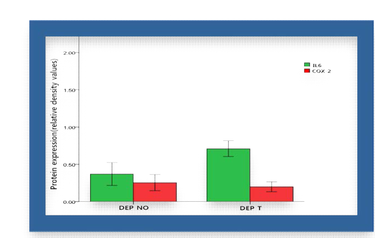 After 10 day, the protein expression levels of SD Rat .DEP treat (inhalation) group was performed mann-whitney T-test (P-value < 0.05 ; *)(n=3)