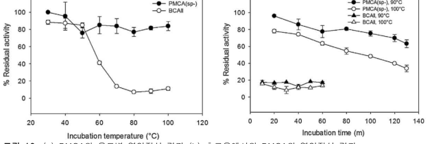 (a) PMCA의 온도별 열안정성 결과 (b) 초고온에서의 PMCA의 열안정성 결과