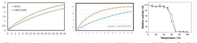 BCAII, BCAII S98C/L240C, BCAII N230C/E234C각각의 Esterase 활성을 pNPA를 이용해 348nm에서 확인한 결과 (좌, 중) S-S BCAII mutant의 열안정성 결과 (우)