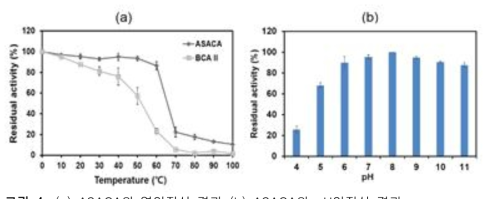 (a) ASACA의 열안정성 결과 (b) ASACA의 pH안정성 결과