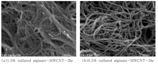 SEM images of MWCNT composites with SA.