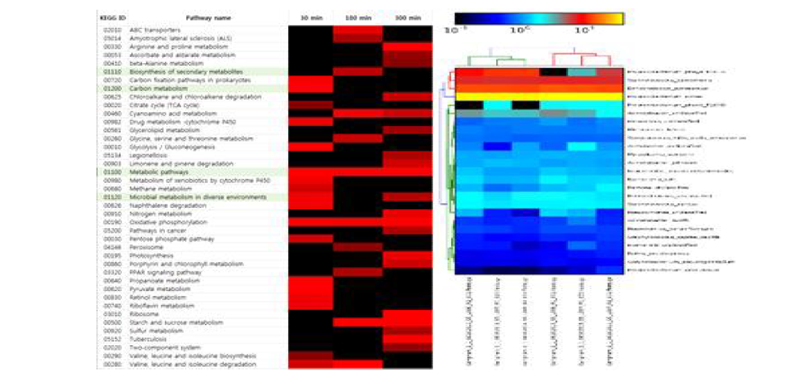 NGS 데이터 분석 (좌) RNA-Seq 데이터로부터 Pseudomonas에서 약물 처리 후 시간에 따라 발현이 달라지는 pathway 분석 (우) 6개의 환경 샘플에서의 Whole metagenome shotgun sequencing 데이터로부터 샘플마다 분포된 미생물군의 비교 분석