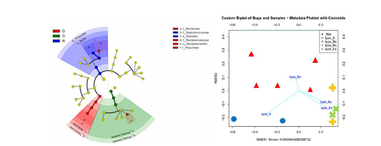 Metagenome 샘플 비교 분석 (좌) 세 지역에서 구성에 차이가 나는 미생물군만 찾아내어 표시한 계통분기도 (우) 네 타입의 샘플에서 미생물구성에 따른 PCoA 분석
