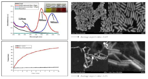 합성한 금 나노 막대의 흡광도(왼쪽 위), photo thermal effect(왼쪽 아래), SEM 사진(오른쪽)