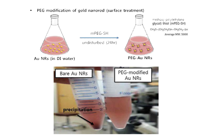 금 나노 입자의 표면 개질을 통한 분산성 향상