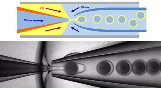 반대방향 흐름 기반의 미세유체소자 모식도(위)와 광학현미경을 이용해 관측한 구동 사진(아래)
