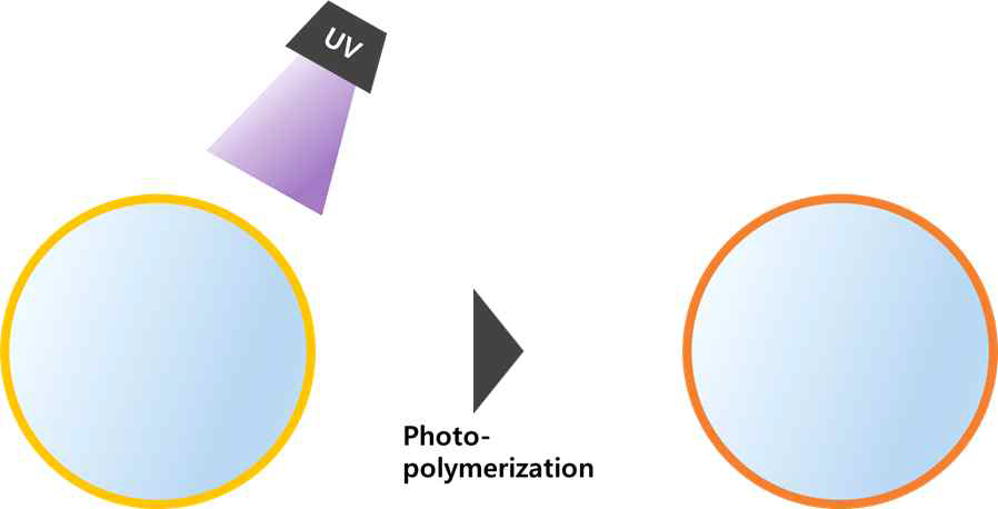 광중합 공정을 이용한 캡슐화 방법의 모식도