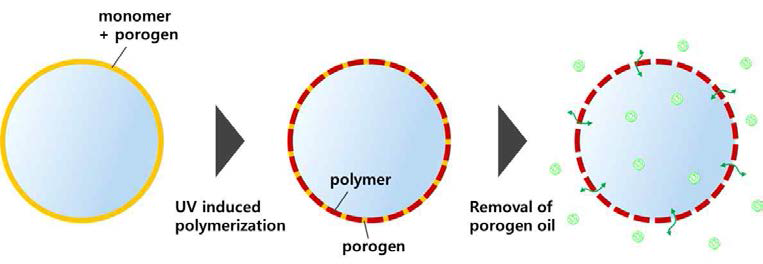 고분자 중합과정에 의한 상분리를 이용해 미시기공을 형성하는 공정의 모식도[10]
