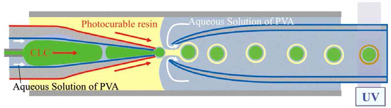 Alignment layer를 가진 콜레스테릭 액정 캡슐을 제조하기 위한 미세유체소자의 모식도[11]