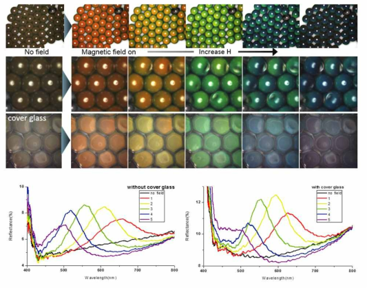 자성 입자를 미세 캡슐에 담지 한 모습과 외부 자기장에 따른 캡슐의 색 변화를 보여주는 현미경 사진과 스펙트럼