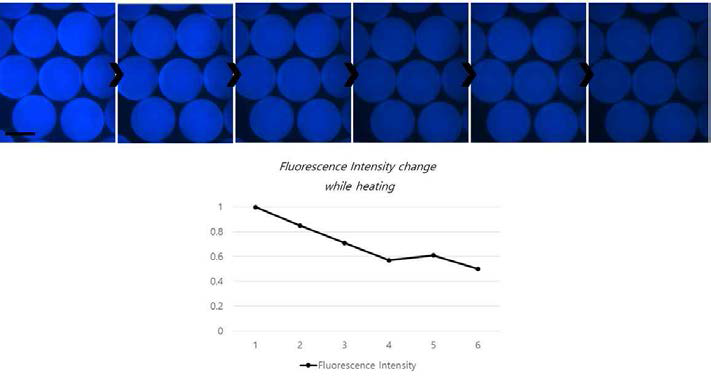 온도가 증가됨에 따라 형광 세기가 변하는 것을 보여주는 광학 현미경 사진 및 intensity 변화량을 보여주는 그래프