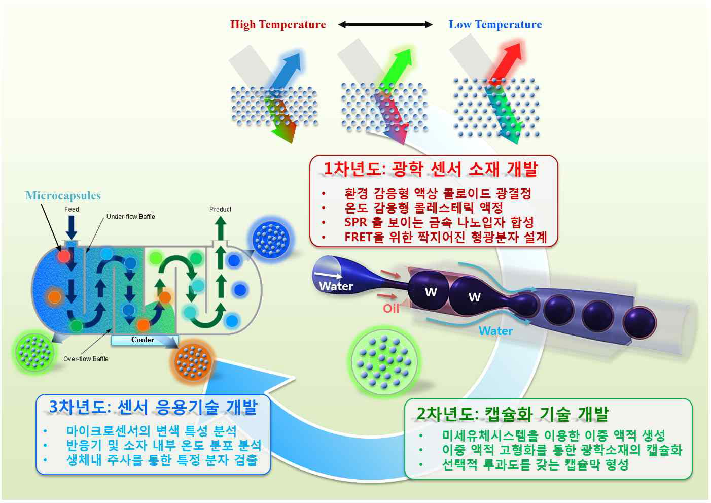 연차별 연구의 흐름도