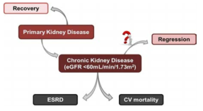 만성콩팥병의 진행성