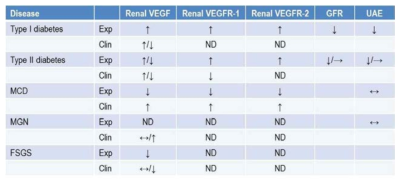 신장 질환에서 VEGF의 역할에 관한 기존 연구들