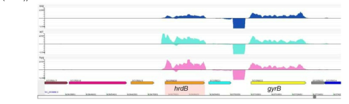 RNA sequencing 결과의 예- SCO5820(hrdB)