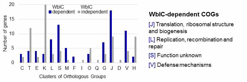 WblC regulon의 COG (Clusters of Orthologous Groups) 분석