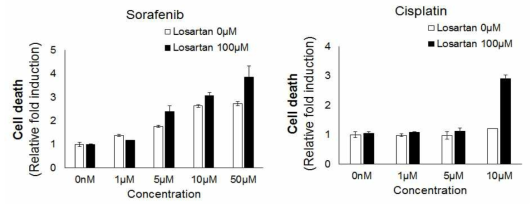 Losartan 전 처리에 의한 다세포성 종양 구상체의 약물 민감성 비교 분석.