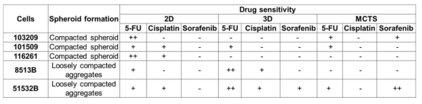 5명의 간암 환자 샘플을 이용한 세가지 시스템에서의 약물 민감성 비교. (++;40-50%의 세포사멸, +; 10-30%의 세포사멸, -; 0%의 세포사멸)