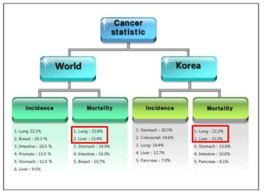 암의 발병률 및 사망률 통계자료
