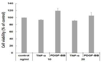 TNF-α와 PDGF-BB 처리 후 세포 생존률 비교