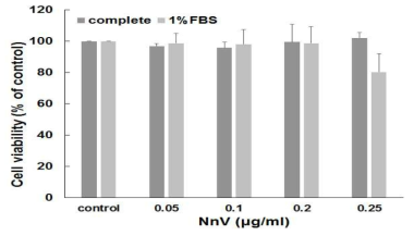 Media 조건에 따른 NnV의 세포 생존률 비교