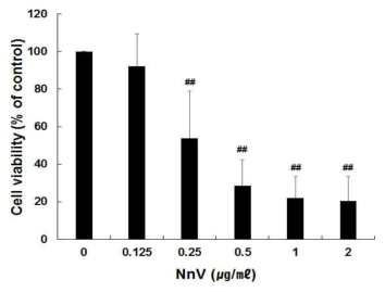 랫드 동맥평활근 세포에서 NnV의 세포 생존률