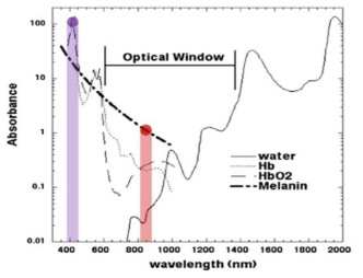 가시광선-근적외선 영역의 파장 스펙트럼 및 피부조직에 존재하는 주요 발색단의 흡수 계수
