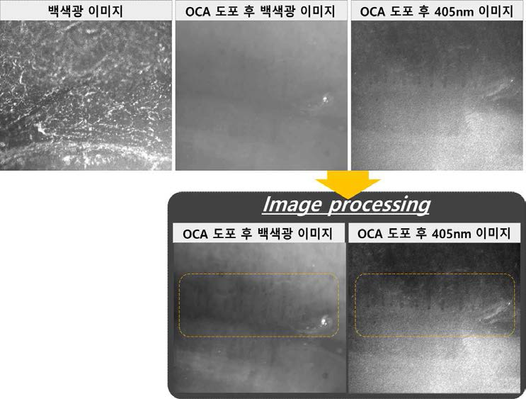 광원의 종류와 OCA 도포 유무에 따른 nailfold 이미지