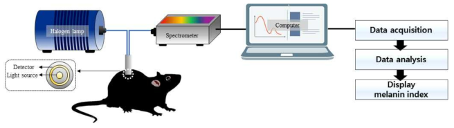 멜라닌 지수 측정 시스템 구성도